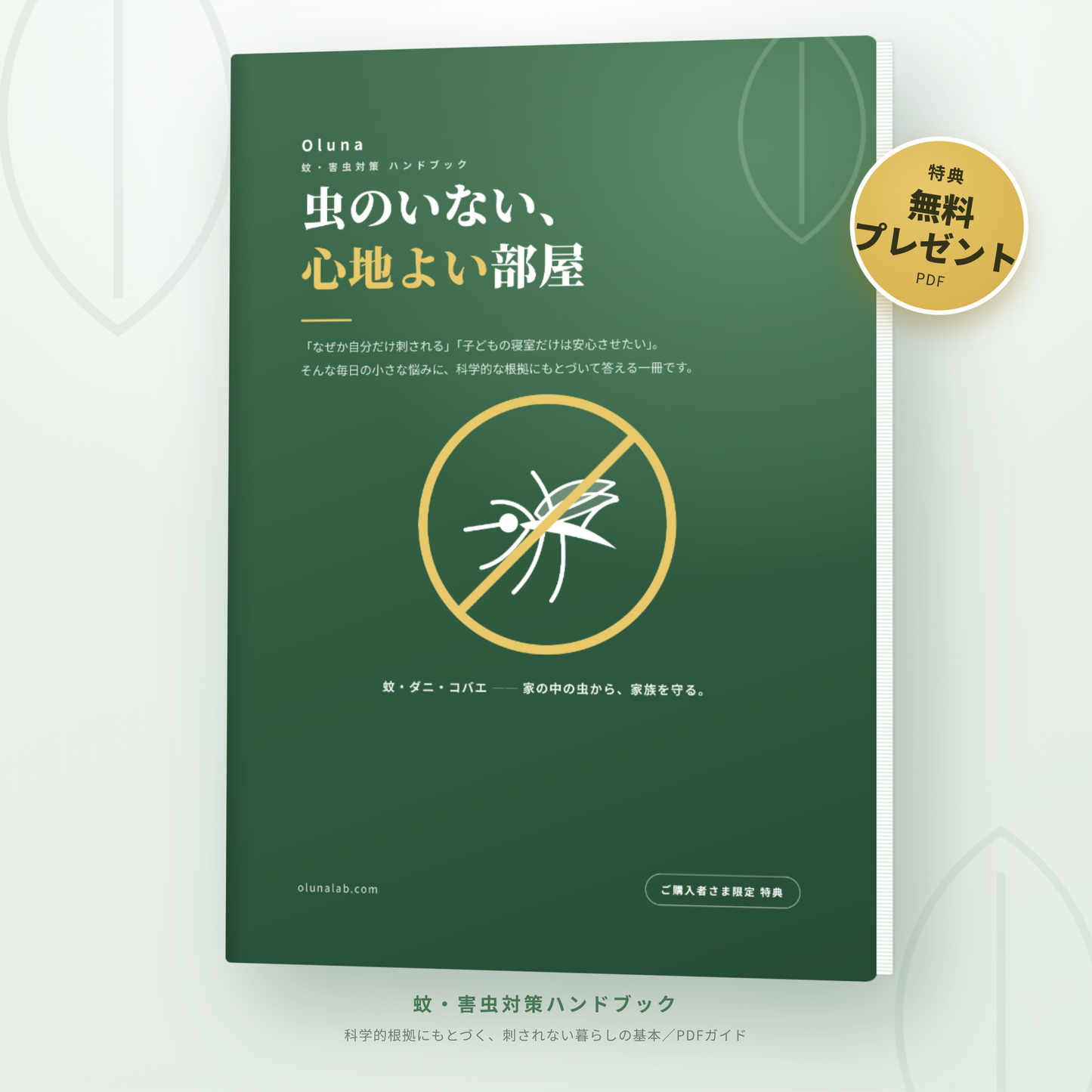 虫のいない、心地よい部屋